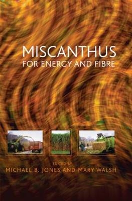 Miscanthus - 