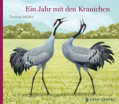 Ein Jahr mit den Kranichen - Thomas Müller