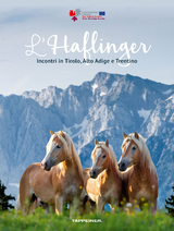 L’Haflinger