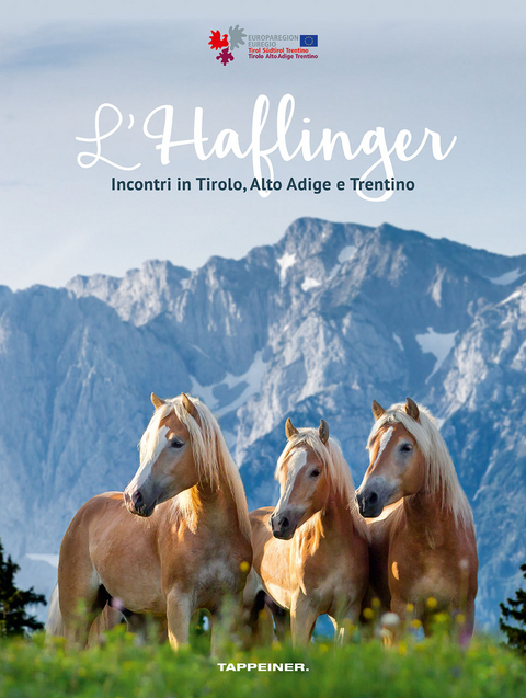 L’Haflinger