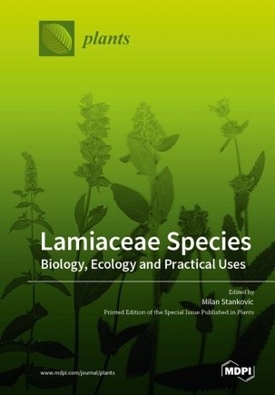 Lamiaceae Species - 