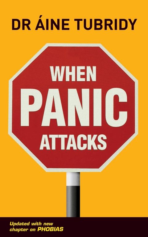 When Panic Attacks - Áine Tubridy