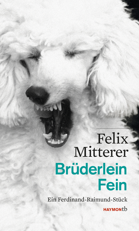 Brüderlein Fein - Felix Mitterer