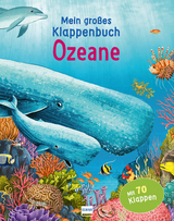 Mein großes Klappenbuch - Ozeane - Anita Ganeri