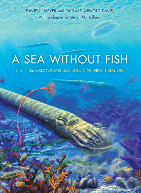 Sea without Fish -  Richard Arnold Davis,  David L. Meyer