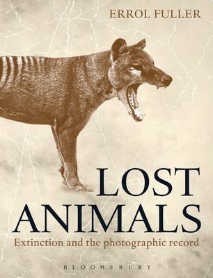 Lost Animals -  Fuller Errol Fuller