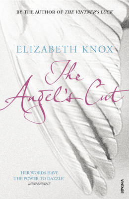 Angel's Cut -  Elizabeth Knox