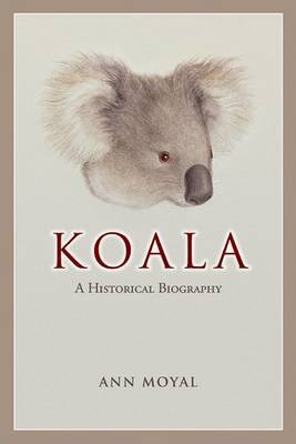 Koala -  Ann Moyal