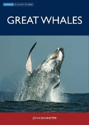 Great Whales -  John Bannister