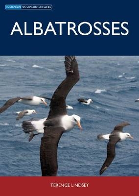 Albatrosses -  Terence Lindsey