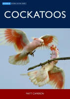 Cockatoos -  Matt Cameron