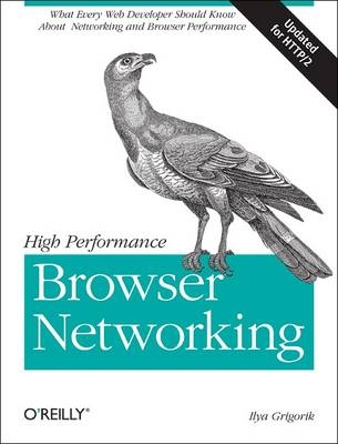 High Performance Browser Networking -  Ilya Grigorik