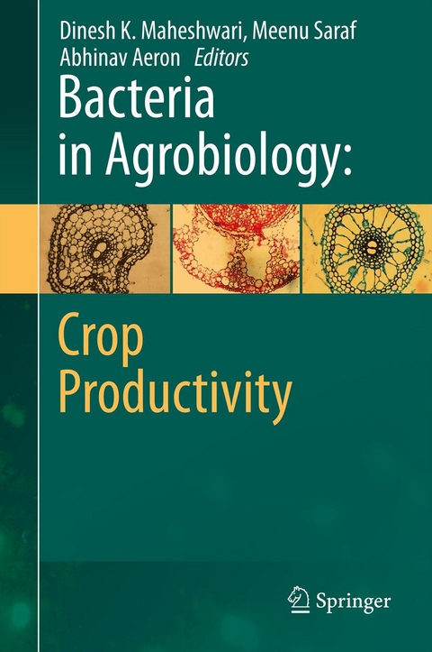 Bacteria in Agrobiology: Crop Productivity - 