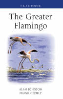 Greater Flamingo -  Alan Johnson,  Frank C zilly