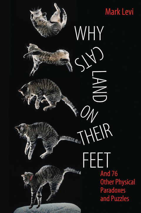 Why Cats Land on Their Feet - Mark Levi