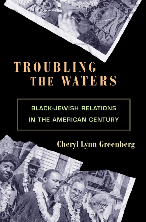 Troubling the Waters - Cheryl Lynn Greenberg