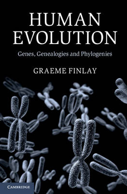 Human Evolution -  Graeme Finlay