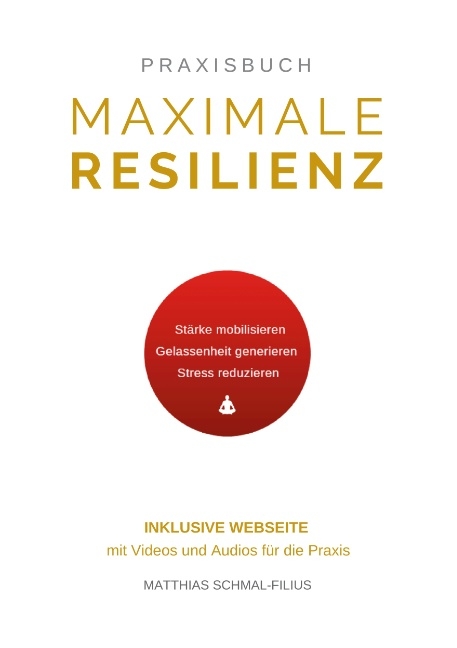 Maximale Resilienz - Matthias Schmal-Filius