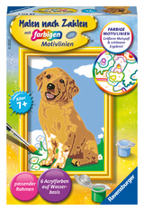 Ravensburger CreArt 28511 - Kleiner Golden Retriever - Malen nach Zahlen Hund für Kinder ab 7 Jahre