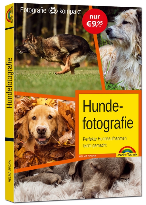 Hundefotografie - das perfekte Hunde Foto - Helma Spona