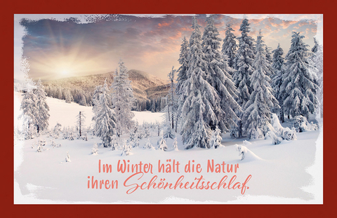 Im Winter hält die Natur ihren Schönheitsschlaf.