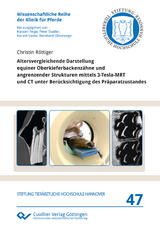 Altersvergleichende Darstellung equiner Oberkieferbackenzähne und angrenzender Strukturen mittels 3-Tesla-MRT und CT unter Berücksichtigung des Präparatzustandes - Christin Röttiger