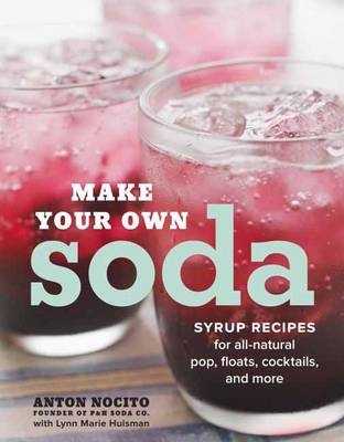 Make Your Own Soda -  Lynn Marie Hulsman,  Anton Nocito