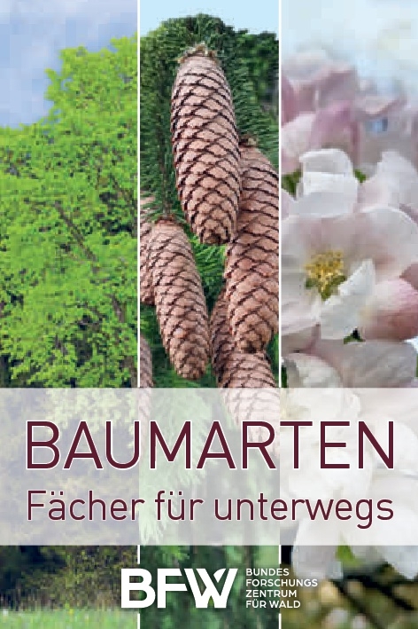 Baumarten - Marianne Schreck, Christian Lackner, Magdalena Langmaier, Ernst Leitgeb, Gernot Hoch, Klemens Schadauer, Silvio Schüler