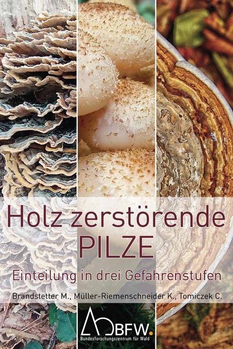 Holz zerstörende Pilze - Martin Brandstetter, Katrin Müller-Riemenschneider, Christian Tomiczek