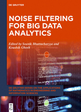 Noise Filtering For Big Data Analytics