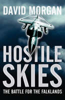 Hostile Skies -  David Morgan