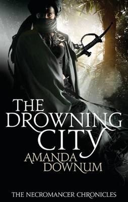 Drowning City -  Amanda Downum