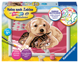 Ravensburger CreArt 28031 - Beste Freunde - Malen nach Zahlen Hund und Katze für Kinder ab 9 Jahre