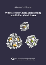 Synthese und Charakterisierung metalloider Goldcluster - Sebastian Ignaz Joachim Kenzler