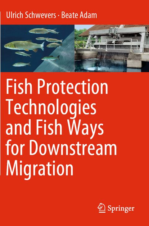 Fish Protection Technologies and Fish Ways for Downstream Migration - Ulrich Schwevers, Beate Adam