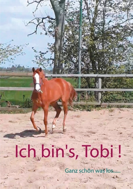 Ich bin's, Tobi ! - Tobi Först