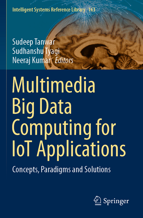 Multimedia Big Data Computing for IoT Applications - 