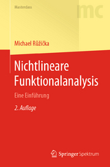 Nichtlineare Funktionalanalysis - Růžička, Michael