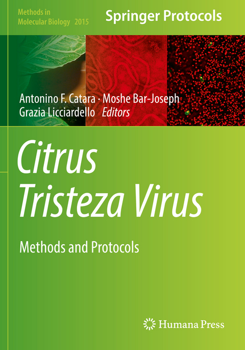 Citrus Tristeza Virus - 