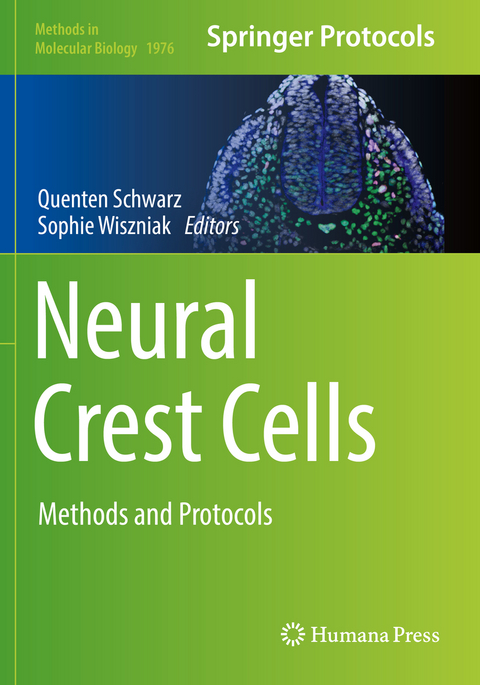 Neural Crest Cells - 