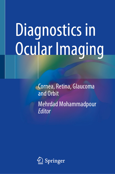 Diagnostics in Ocular Imaging - 