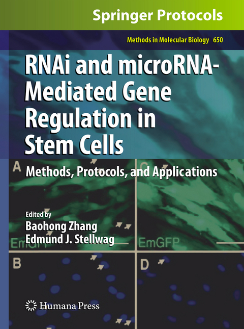 RNAi and microRNA-Mediated Gene Regulation in Stem Cells - 