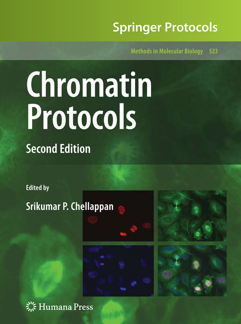 Chromatin Protocols - 