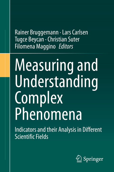 Measuring and Understanding Complex Phenomena - 