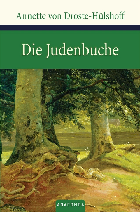 Die Judenbuche - Annette von Droste-Hülshoff