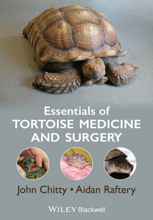 Essentials of Tortoise Medicine and Surgery -  John Chitty,  Aidan Raftery