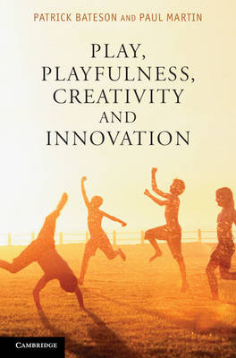 Play, Playfulness, Creativity and Innovation -  Patrick Bateson,  Paul Martin