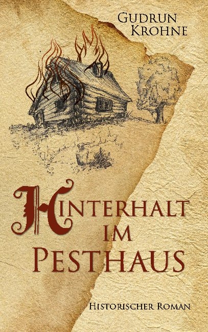 Hinterhalt im Pesthaus - Gudrun Krohne