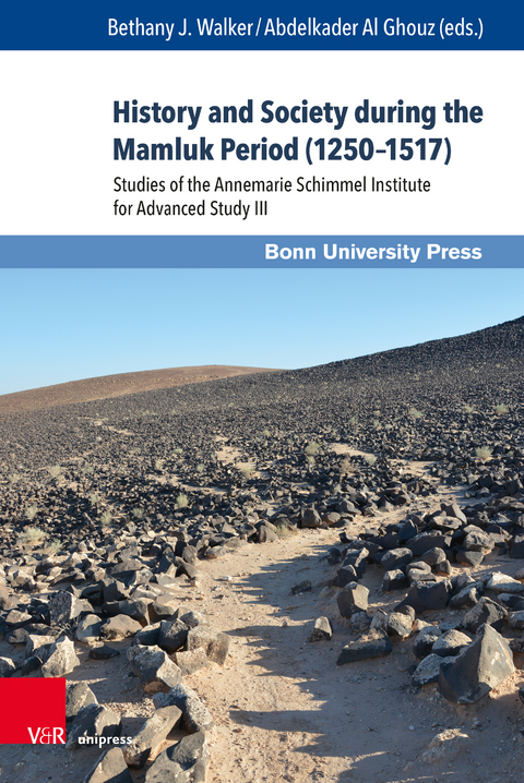 History and Society during the Mamluk Period (1250–1517) - 