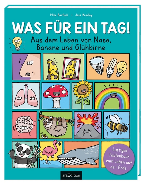 Was für ein Tag! - Aus dem Leben von Nase, Banane und Glühbirne - Mike Barfield